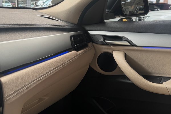 BMW X2 1.5 12V ACTIVEFLEX SDRIVE18I GP STEPTRONIC 2019/2019